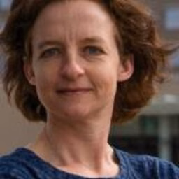 prof.dr. TFC (Tamar) Fischer