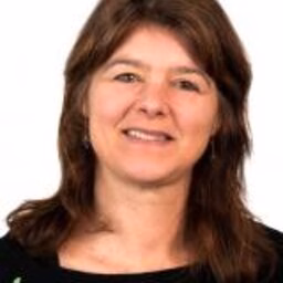 prof.dr. L (Laura) den Dulk