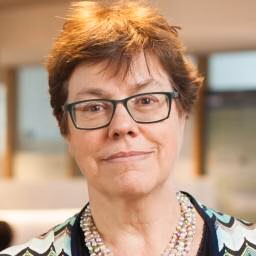 prof.dr. EA (Liesbet) van Zoonen