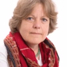 prof.dr. E (Ellen) Hey