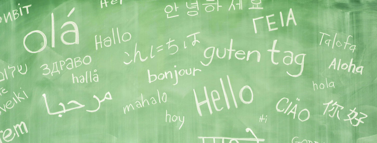 Language & Training Centre - Cover Photo (2017)
