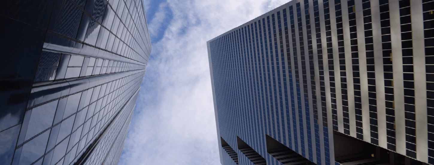 Skyscrapers from frogview