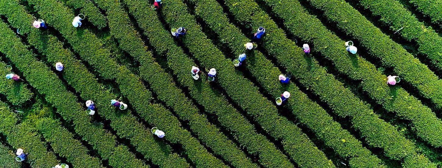 Dynamics of Inclusive Prosperity
