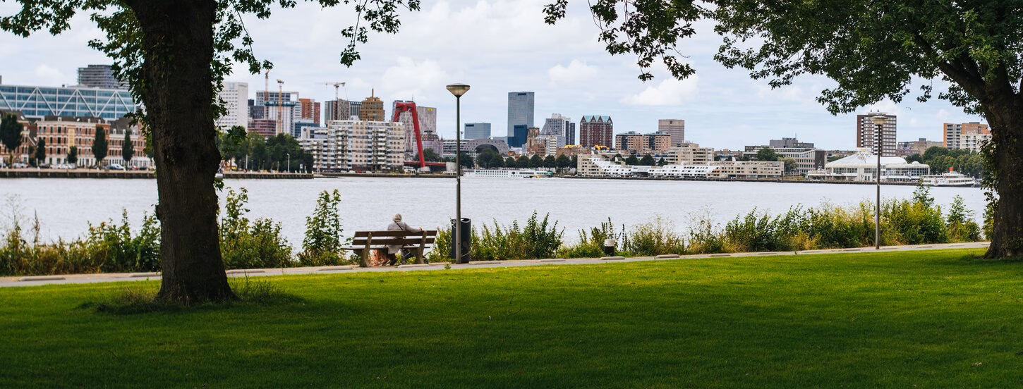 Skyline of Rotterdam and the Maas.