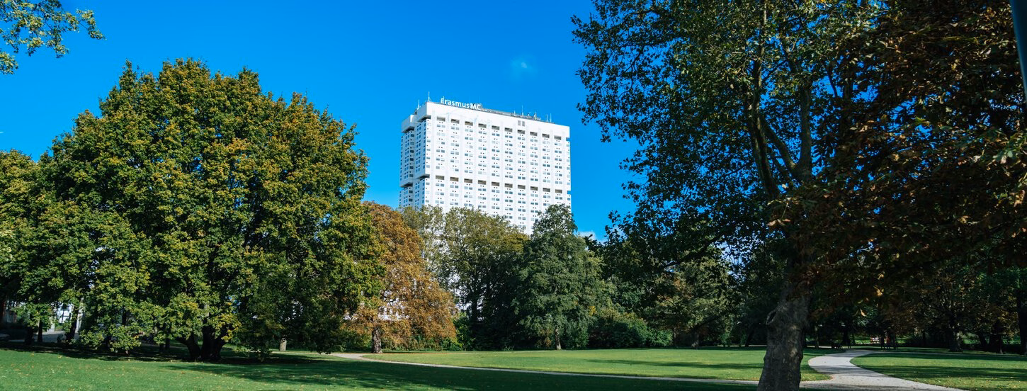 Een groen park met het ziekenhuis Erasmus MC op de achtergrond.