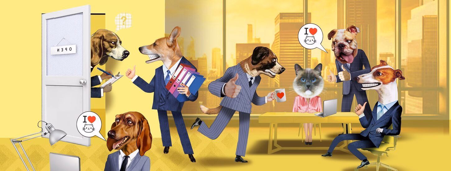 Dogs (males) and cat (female) at work
