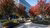 Rode esdoorns voor Polak Building