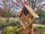 Insect hotel on EUR campus