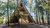 An open wooden camping site in the woods