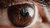 Brown human eye 