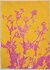 Art work of Piet Dieleman, pink flowers on a yellow background.