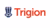 Logo Trigion beveiliging