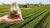 Geldzak op het platteland
