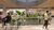 Study areas with lots of greenery in Tinbergen Building - artist impression