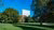 A green park with the Erasmus MC hospital in the background.