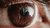 Brown human eye 