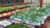 Raised planters 
