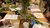 Flower vase in the middle of the table surrounded by people looking and sketching the flowers 