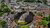 City overview Ridderkerk