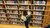 Student pakt boek, blog BSA 