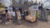 Lowlands Science
